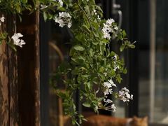 -悦哉·派对·草坪婚礼·围炉煮茶(三圣乡店)