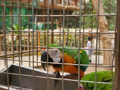 -南宫五洲植物乐园