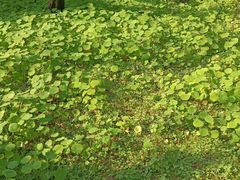 -重庆交通大学-1食堂