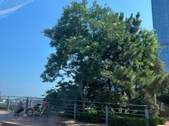 -前王院•巧克力海鲜市集餐厅(万平口店)