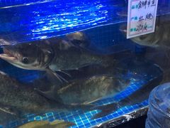 -姜君·千岛湖鱼头馆(浦东大道店)