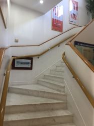 点击看大图 -WENDY·温迪皮肤管理