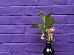 -恋物百货商店(华侨城店)