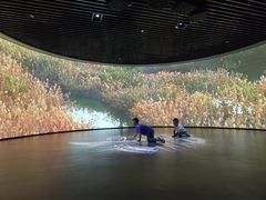 -中国湿地博物馆