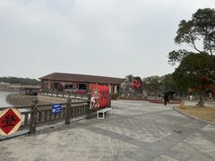 -上海都市菜园