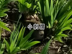 -首都师范大学(良乡校区)