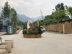 -午后庭院