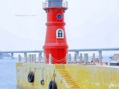 -南蚝小贝海鲜特色餐厅(南澳岛店)