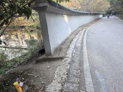 -方山风景区定林寺