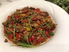 -食家鸽园