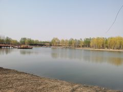 -东郊湿地公园