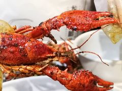 -龙巢盱眙龙虾·牛蛙·烧烤宵夜(八卦岭店)