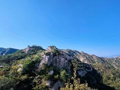 -大岭沟猕猴桃谷风景区