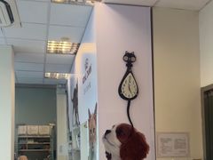 -瑞派申生动物医院·24H夜诊·国际动物医疗中心·骨外科(吴中路店)