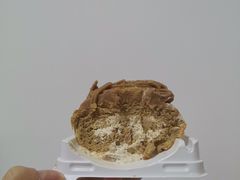 -木子木水日式烫面包(世界城光谷店)