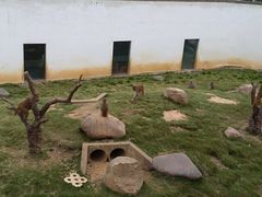 -武汉紫薇都市田园