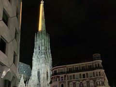 -斯蒂芬主教座堂(Stephansdom)