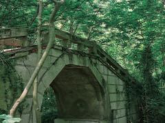 -青龙山国家森林公园