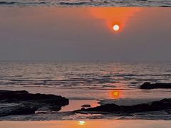 -深圳湾公园(南山区)