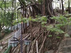 -乌山风景区