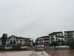 -小杨翘脚牛肉