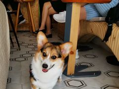 -几米咖啡(龙洲湾花园店)