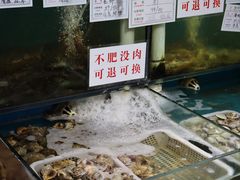 景观位-九层海鲜塔(市南店)