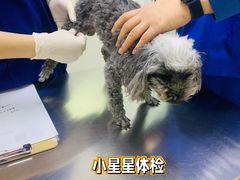 -柏萃动物医院·骨科·牙科