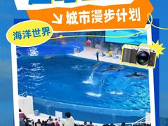 -泉城欧乐堡海洋极地世界