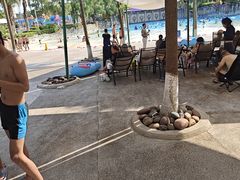 -重庆海昌加勒比海水世界