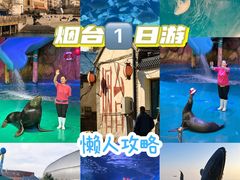 -烟台海昌鲸鲨海洋公园