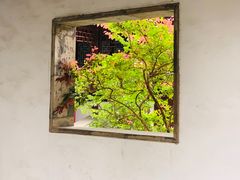 -秋霞圃