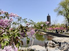 -西海子公园