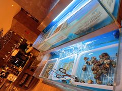 -上海凯宾斯基大酒店
