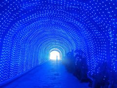 -栾川竹海野生动物园