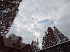 景观位-一尺花园(安和花园店)