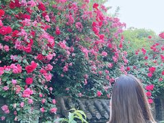 -楠柏弯休闲山庄(梨花溪店)