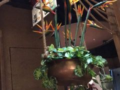 -云海肴·云南小炒·汽锅鸡(天津国金汇店)