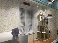 -猫小院猫主题餐厅(三里屯店)