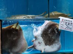 -应时肥牛火锅居(联合路店)