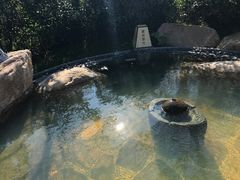 -溧阳天目湖天沐温泉