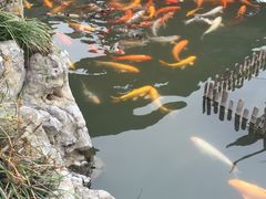 -檀园