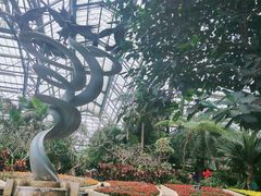 -南山植物园