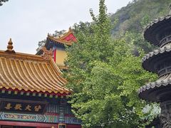 -千佛山风景名胜区