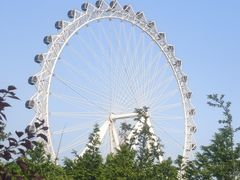 -日照海滨国家森林公园