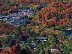 -九曜山