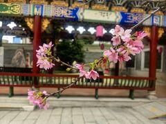 -宝墨园景区