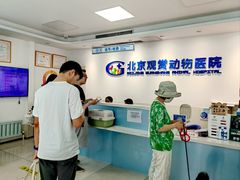 -北京观赏动物医院·24小时大型综合·猫专科·异宠专科