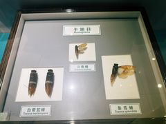-上海昆虫博物馆