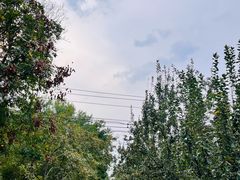 -元大都城垣遗址公园